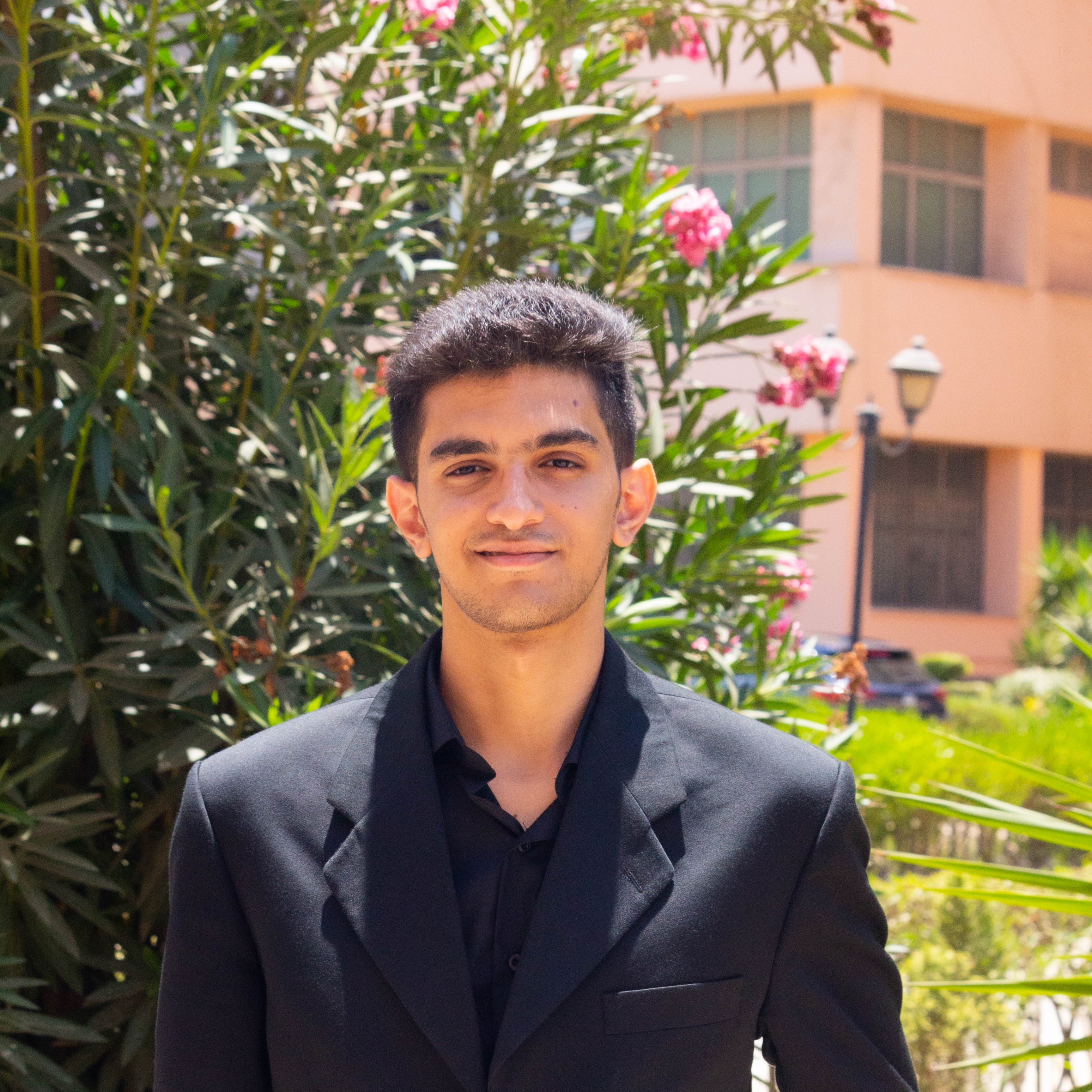 Loay Waleed
